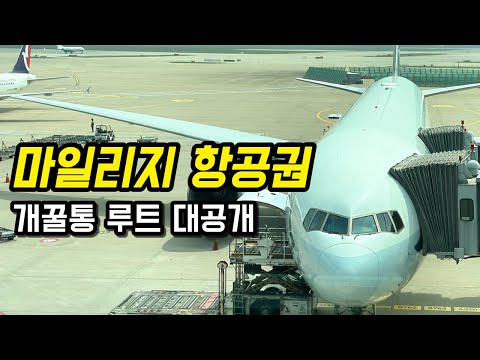 케세이 퍼시픽 홍콩행: 이코노미 클래스 탑승 후기 및 효율적인 마일리지 사용법