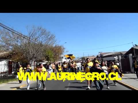 "AHP COQUIMBO UNIDO - cerena 2013" Barra: Al Hueso Pirata • Club: Coquimbo Unido • País: Chile