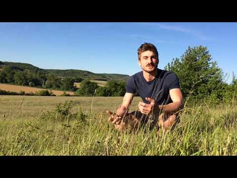Orchid hunting in France: an introduction | Leif Bersweden