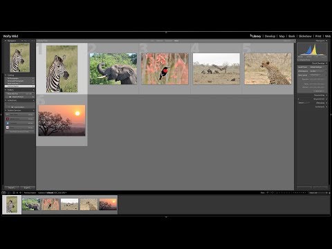 Join our Course How to Edit Wildlife Photographs in Adobe Lightroom CC