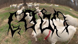 CDSM – Not Another Bleeder