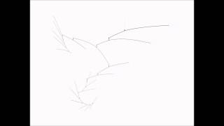 Dinner at eight - Rufus Wainwright (solo piano cover)