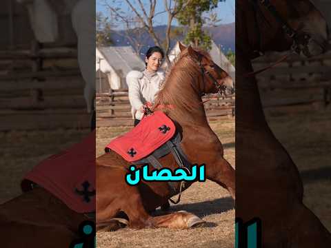 لمن لا يستطيعون ركوب الخيل، إليكم هذه الحيلة 😱