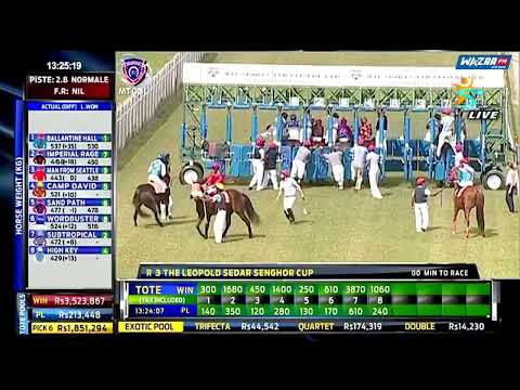 Hippisme :  Suivez en LIVE le déroulement de la troisième course