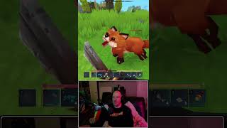 How To Get Light Medium Heavy Hide In Hytale #fyp #foryoupage #hytale #hytalegame #hytalenews