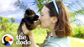 Foster Mom Becomes Seeing-Eye Human For This Blind Puppy | The Dodo