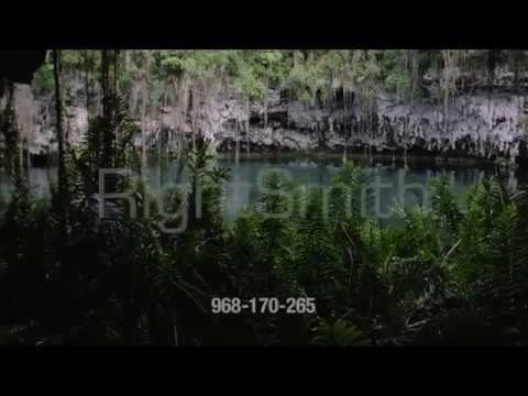 Cave with plants, stalactites and water | Framepool