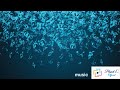 FEEL THE RHYTHM BEST BGM OF 2020 LOVE MUSIC SOULFUL MELODY