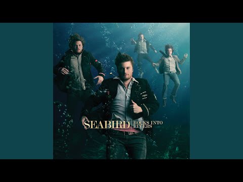Trust - Seabird