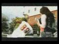 Chris Brown-Picture Perfect