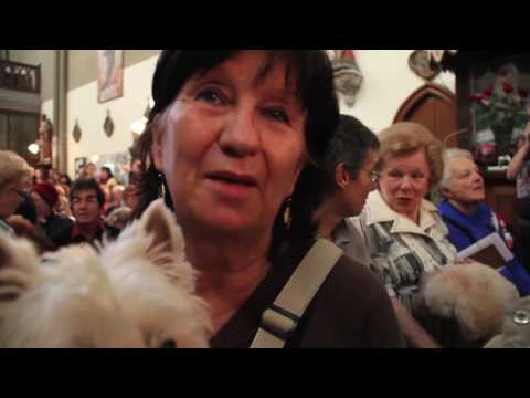 Reportage 8