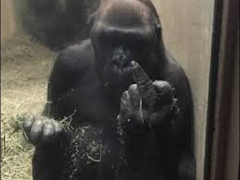 ℍ𝕃 ℍ𝕪𝕡𝕖𝕣ℝ𝕛🥶 𝕱𝖙. 𝓢𝓐𝓜𝓧