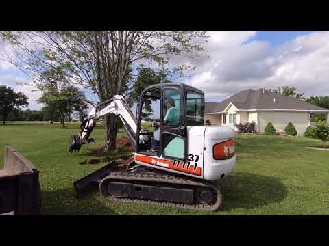Bobcat 337G Mini Excavator Taking Down Dying Maple Tree