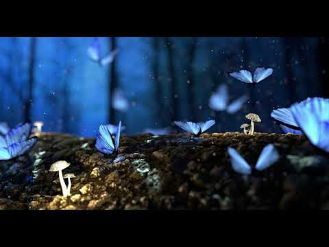 River Flows In You (Piano) [Música Inspiradora] (no copyright music)