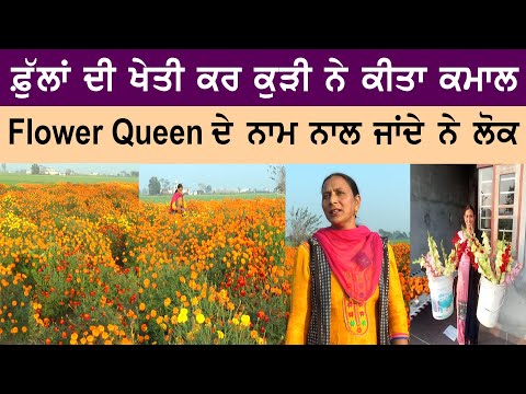 ਫੁੱਲਾਂ ਦੀ ਖੇਤੀ ਕਰ ਲੱਖਾਂ ਕਮਾਉਂਦੀ ਹੈ ਪੰਜਾਬ ਦੀ ਇਹ ਕੁੜੀ,Flower Queen ਦੇ ਨਾਮ ਨਾਲ ਵੱਖਰਾ ਲਗਦਾ ਹੈ ਪਿੰਡ ਦਾ ਘਰ