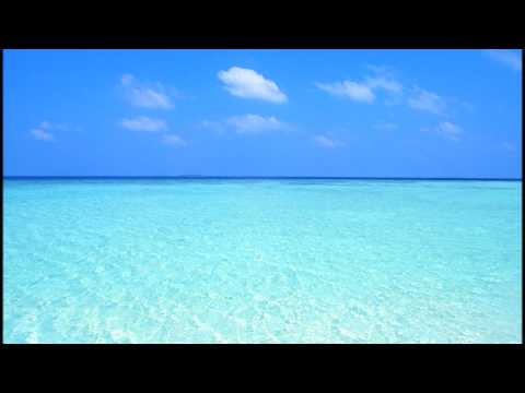 POWER MIX EVOLUTION 2009 selected by TIESTOamsterdam New House Music