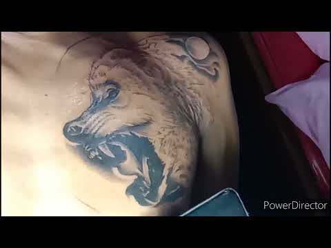 chest piece wolf tattoo timelapse