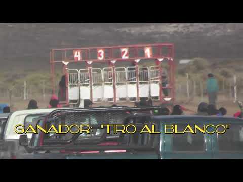 EL CUY  22-4-18 1° CARRERA GANADOR: TIRO AL BLANCO"