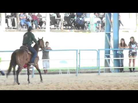 Hit On Top ZD - 3 Tambores: 17,178 Seg!