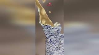 Video produs