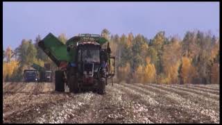 Аграрии убрали более 100 тыс. га зерновых и зернобобовых культур