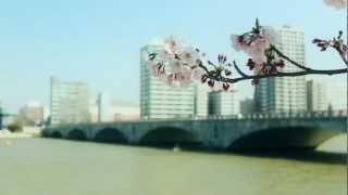 preview picture of video '萬代橋 ―新潟市―　Bandaibashi in Niigata city'
