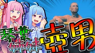 【バカゲー】高みを目指す琴葉姉妹【VOICEROID実況 - 壺男】