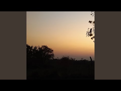 Por Amor o por Odio?