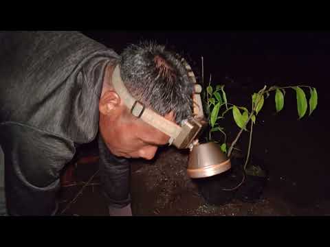 AIR LEBIH BESAR LAGI TAPI JARING UDAH TERPASANG