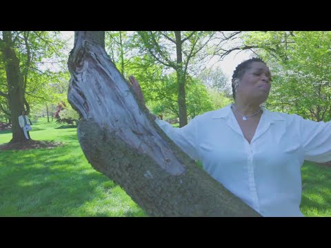 Ryan Marquez  - Serenity (feat. Anita Jackson & Dawn Weber)(Official Video)