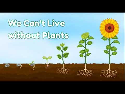 We can't live without plants