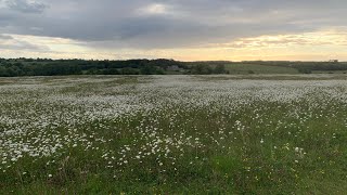 state of grace (Ella’s version)