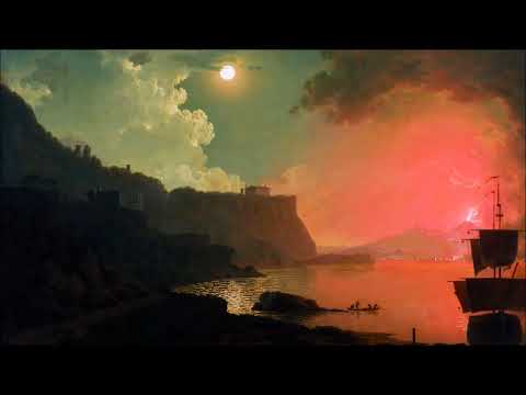 Johann Baptist Vaňhal: Symphony in D minor Bryan d1