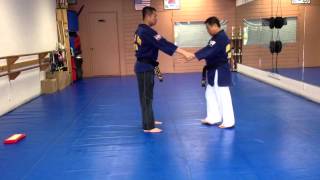 Hapkido One Hand Wrist Grab Defense 37