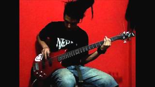 Strapping Young Lad - Almost Again - Matt - Bass Cover