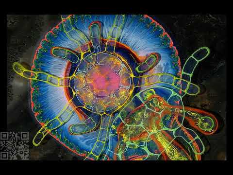 Dark psytrance Janczur Dark Valley UP 160 Droid can Dance Set DJ Janczur Jun 2016