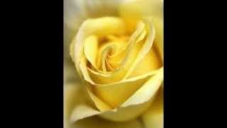 To Each His Own "By" Al Martino