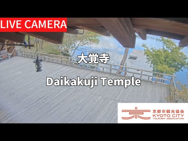 【LIVE】大覚寺（京都市観光協会公式）／Daikakuji Temple, Kyoto Live camera cctv 監視器 即時交通資訊