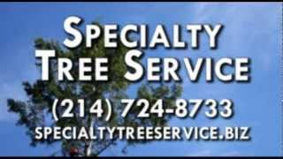 preview picture of video 'Tree Service, Tree Removal in Corinth TX 76210'