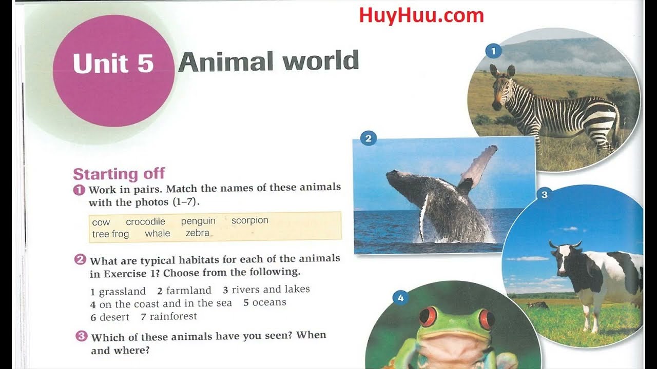 05 Complete IELTS Band 4 5 Unit 5