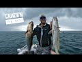 How To Catch Jewfish CONSISTENTLY