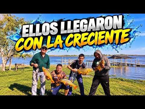 EL AGUA NO VIENE SOLA DORADOS EN IBICUY ( EL ISLERITO NO FALLA)