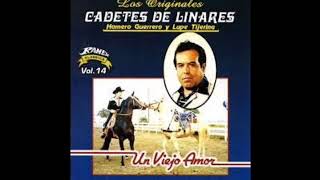 Me Volvi Cobarde - Los Cadetes De Linares