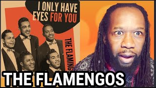 THE FLAMINGOS - I only have eyes for you REACTION - First time hearing