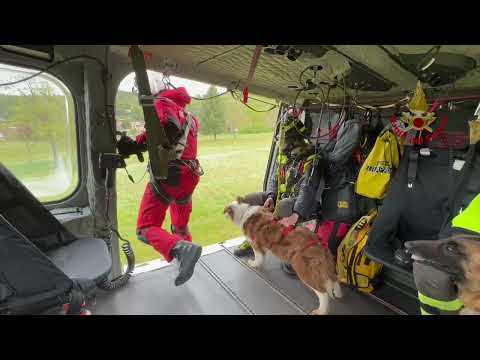 Cani in volo sull'elicottero dei Vigili del Fuoco