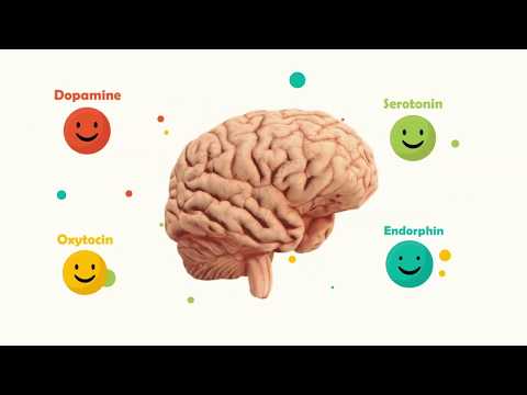 Happy Brain Chemicals: dopamine, serotonin, oxytocin, endorphin