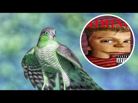 Shavi Borshi ft Mimino - MIMINO CHAMODI