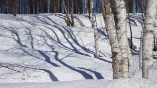 北竜町の彩どり 2014（風景写真と撮影ポイント） - 北竜町ポータル（北海道）・ 日本一を誇るひまわりの里