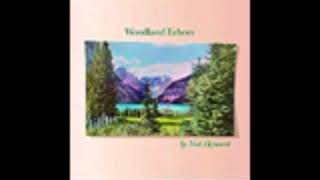 I Got A Lot - Nick Heyward