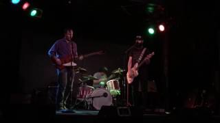 Dinosaur Jr cover Bulbs of Passion by little furry things